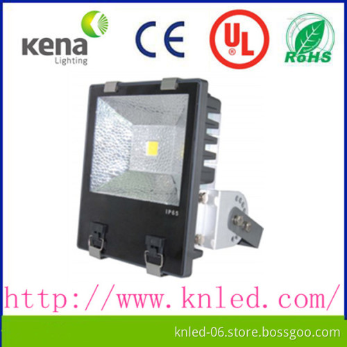 IP65 100w 120w Meanwell driver led flood light
